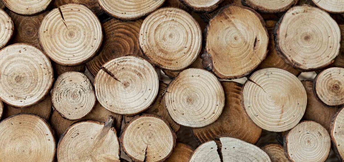 Mazzocchi legno azienda operante nel settore delle strutture in legno a Crespellano Comune Valsamoggia, ci guida in un viaggio alla scoperta dei legni più pregiati scelti per le nostre case.